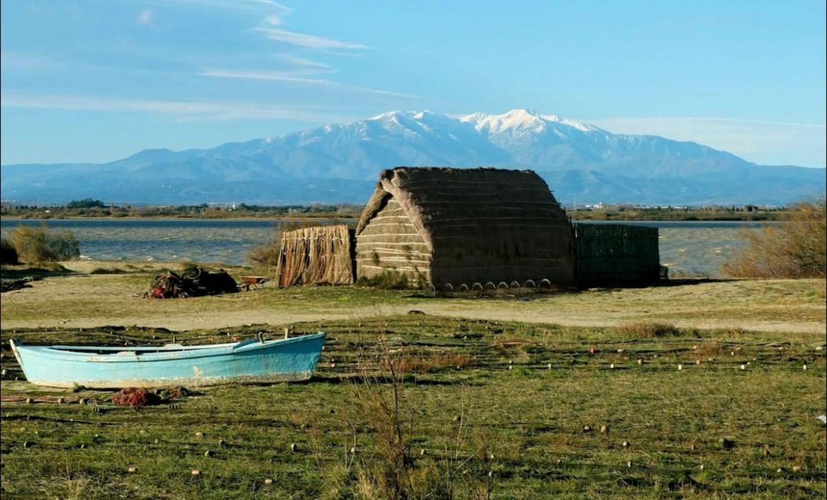À 200m de la mer super logement Cocoon  Canet-en-Roussillon Eksteriør bilde